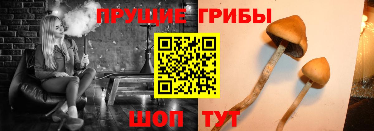 Лабытнанги  Галлюциногенные грибы MAGIC MUSHROOMS  Вход с VPN 